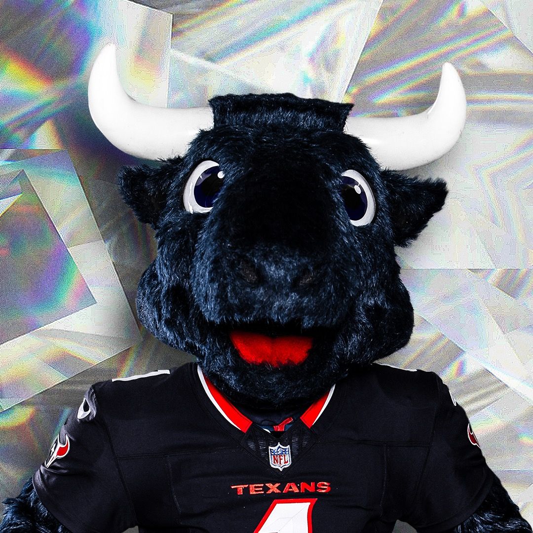 TORO 🐃