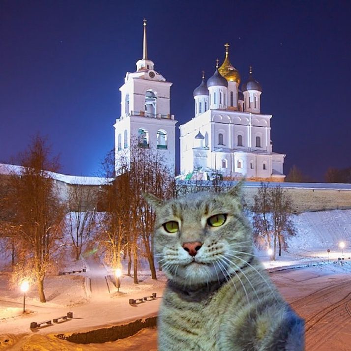 Здравствуйте
