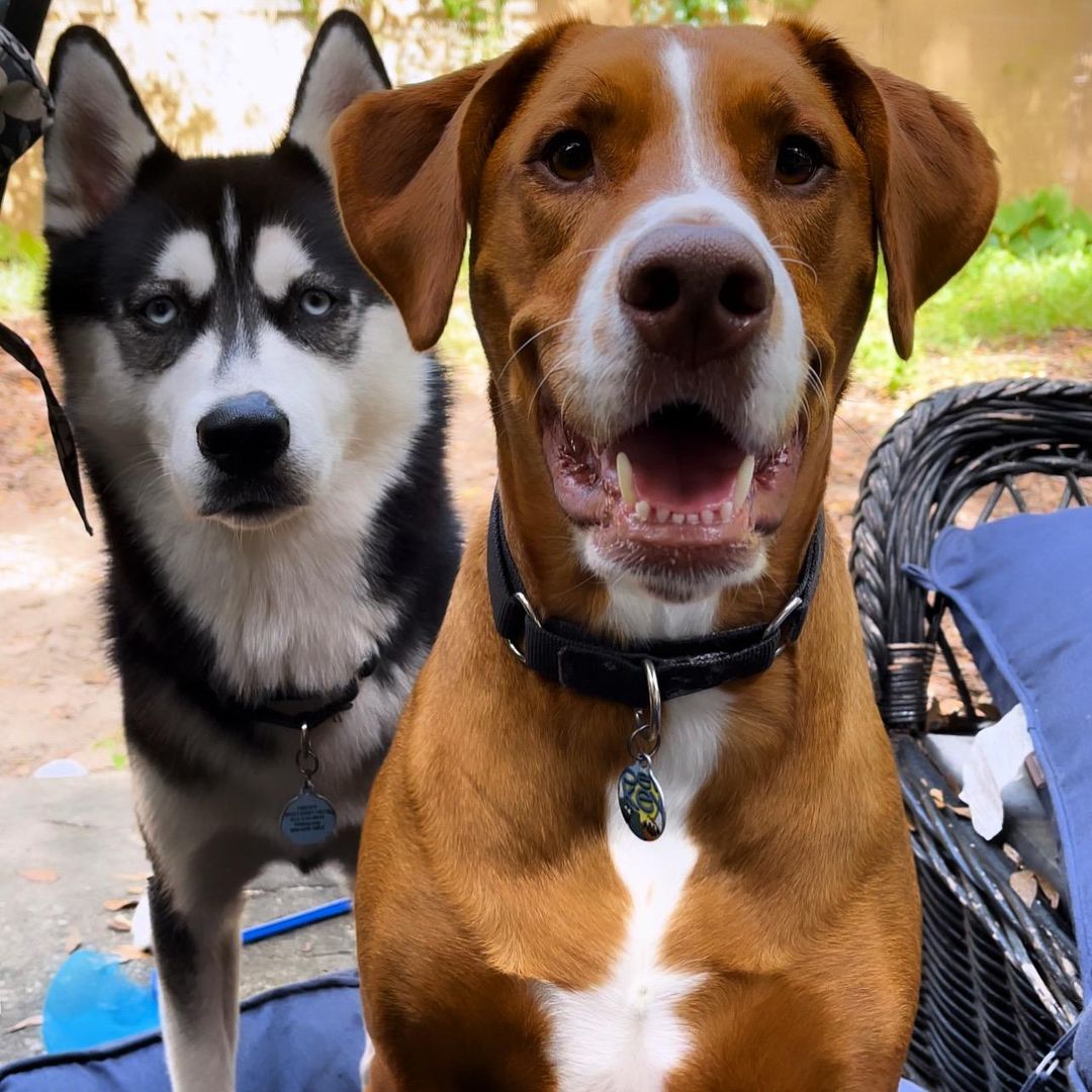 Freddy & Wally