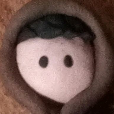 𝖙𝖍𝖊 𝖕𝖑𝖆𝖘𝖙𝖎𝖑𝖎𝖓𝖆ت︎