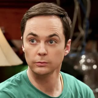 The Big Bang Theory TV Fans