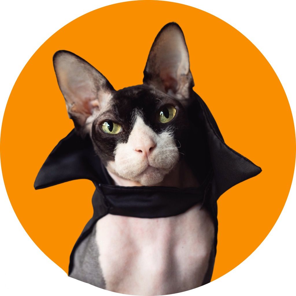 The Dark Lord