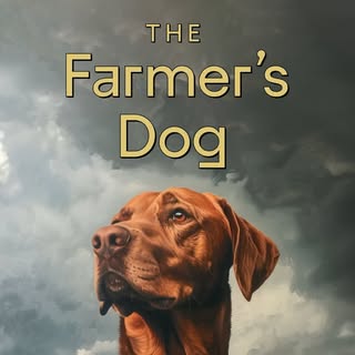 The Farmer’s Dog