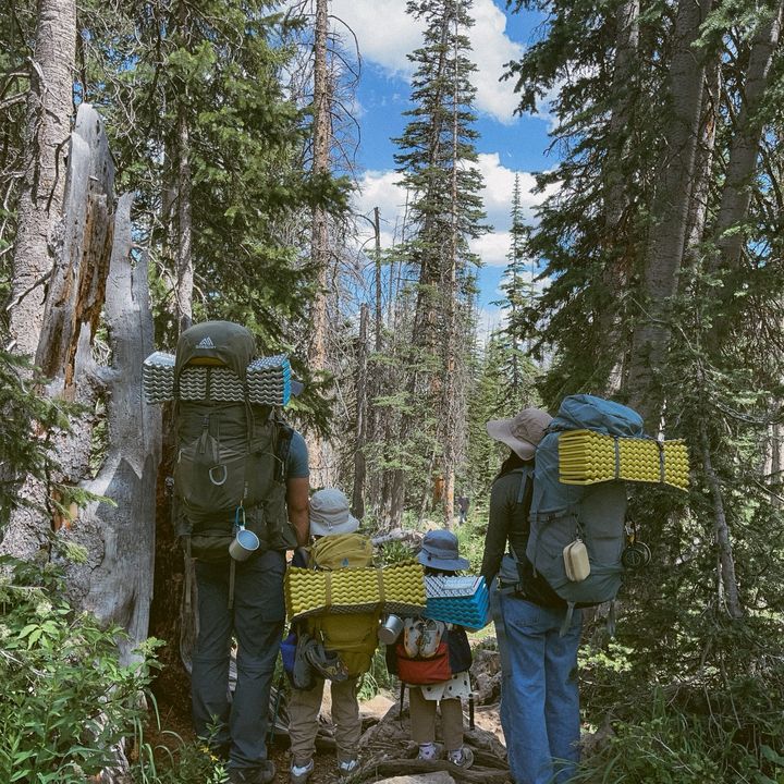 thelittle.adventurers