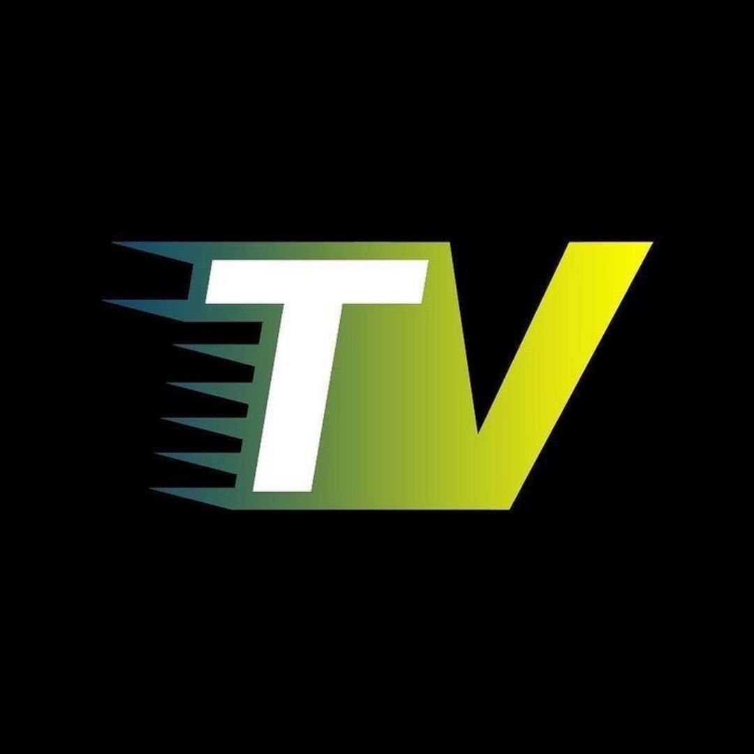 Theory Vidz👁🧠