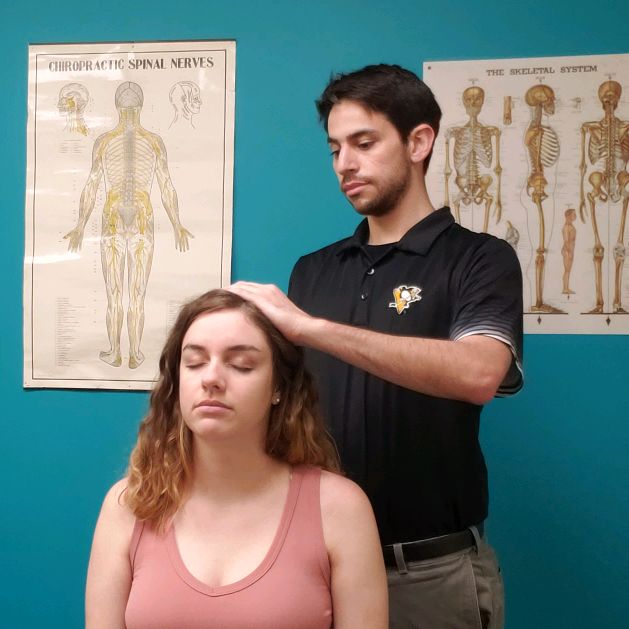 The Pittsburgh Chiropractor