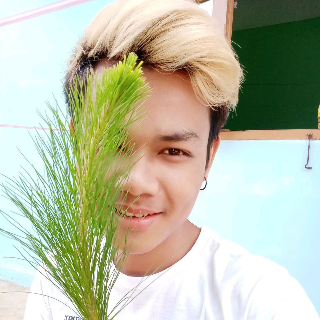 ThiHa