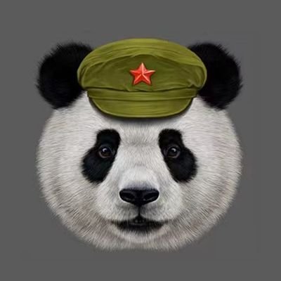 ShanghaiPanda （ Account deactivation）