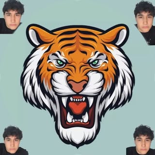 Tigers Videos | Lucas Ortigoza