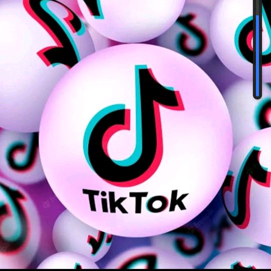 Tiktok Finds