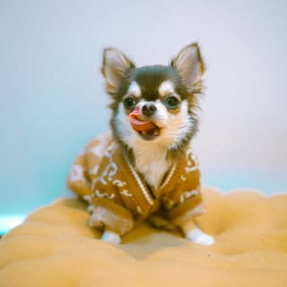 Suppanad Jittaleela ( tiNa )