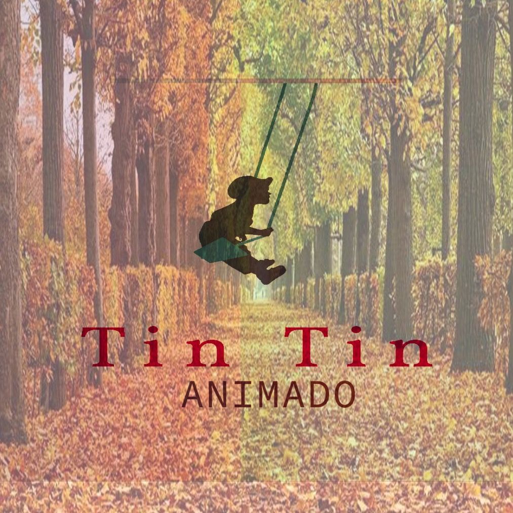 Tin Tin Animado
