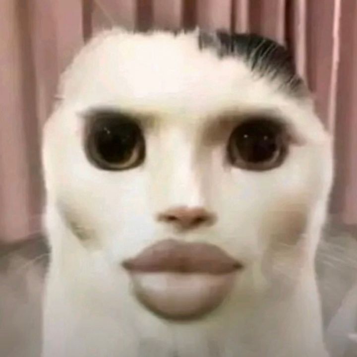 tinypiratefemboyfart348