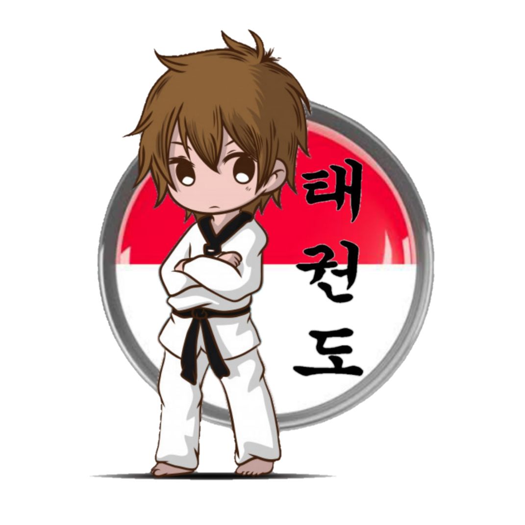 Taekwondo Content Creator