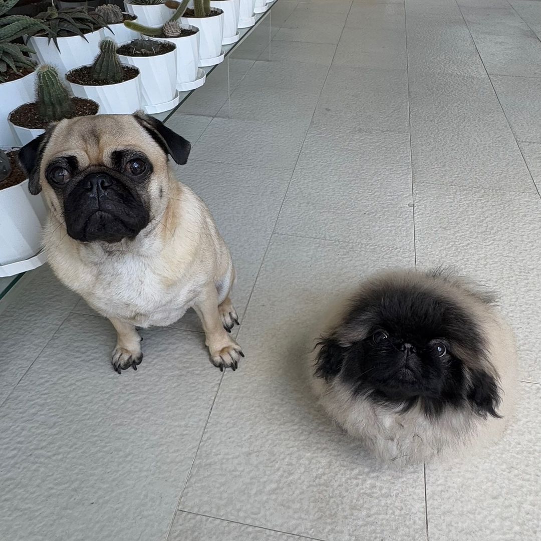 Tobey & Timothy 🌚