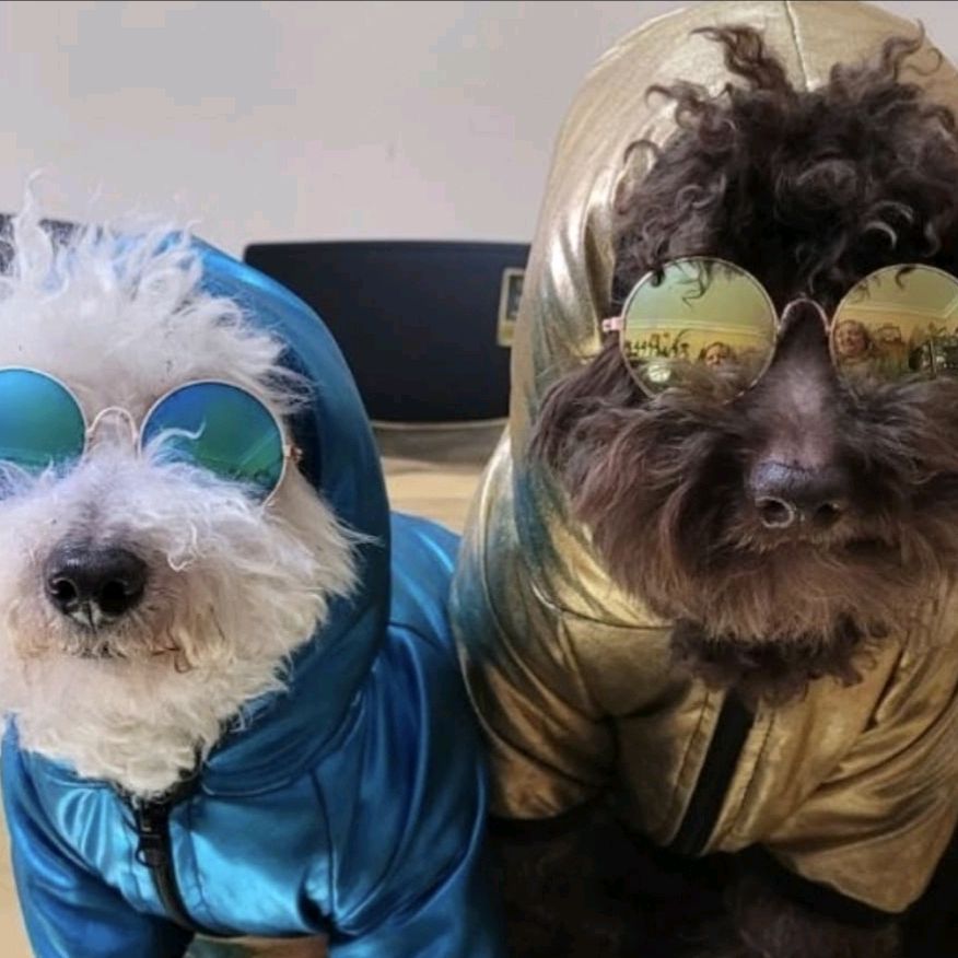 TommySimonlostiktokeros