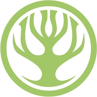 Transilvania Healing Centre