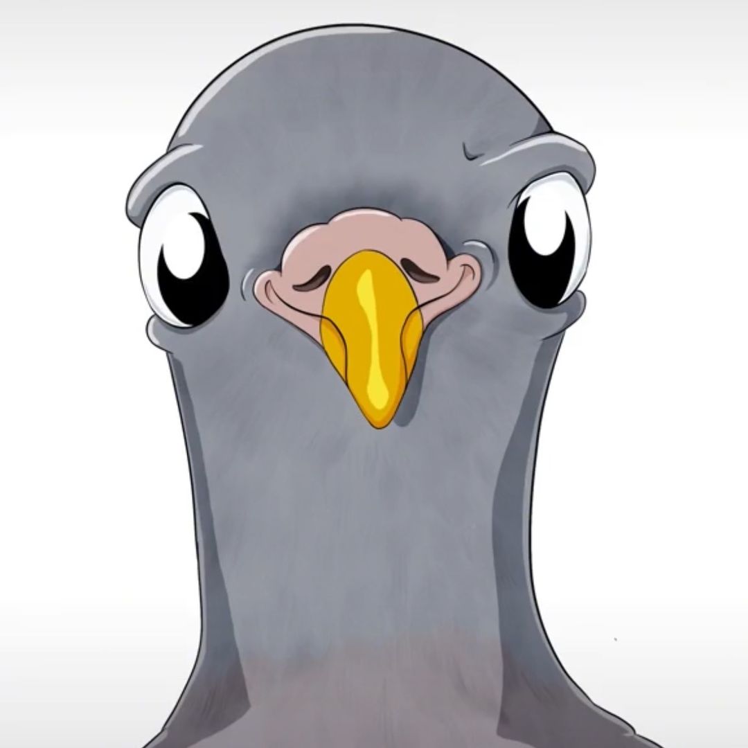 Trevor the pigeon