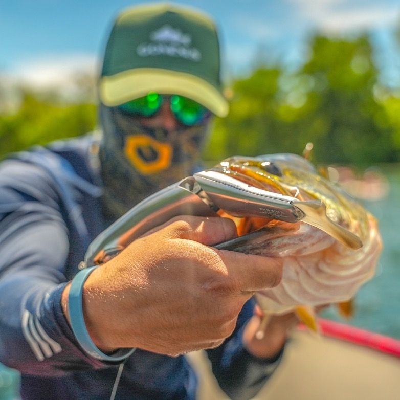 trk.fishing