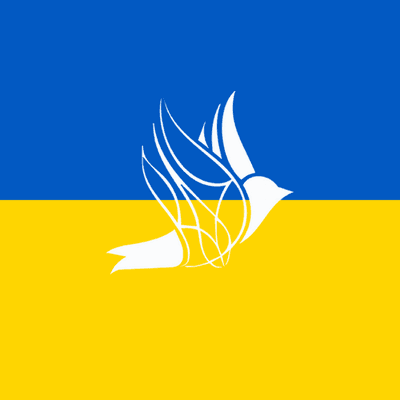 Alerta Noticias UKR 24