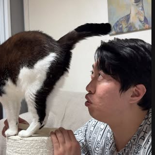 언더월드