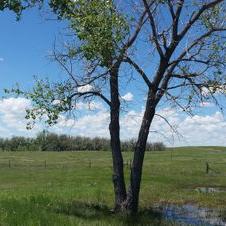 Brandon Unger 🌎🇺🇲 🇺🇦🌊