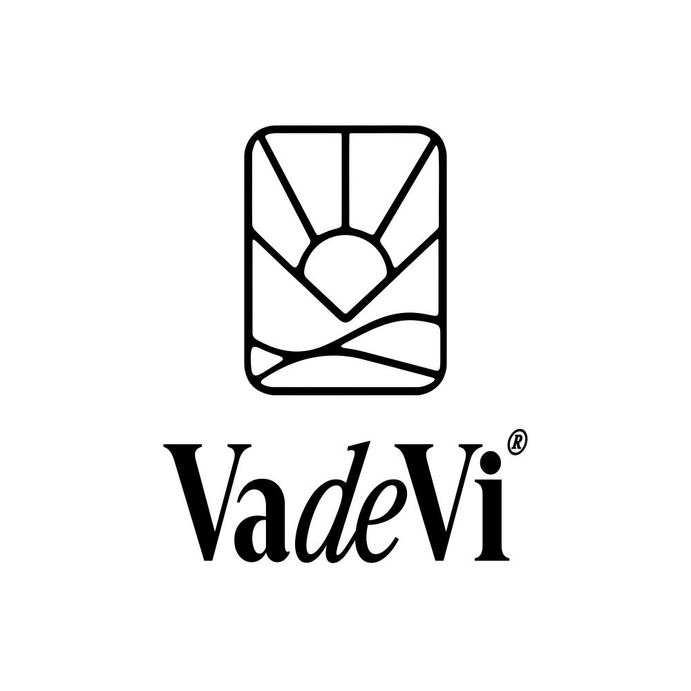 vadevi.mx