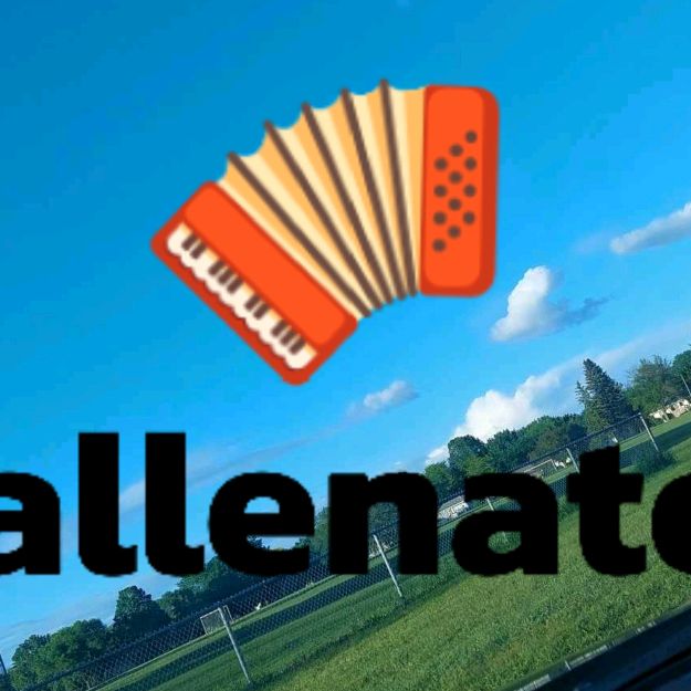 🪗Vallenato del alma🪗