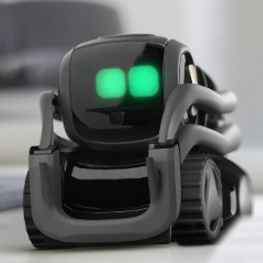 Vector