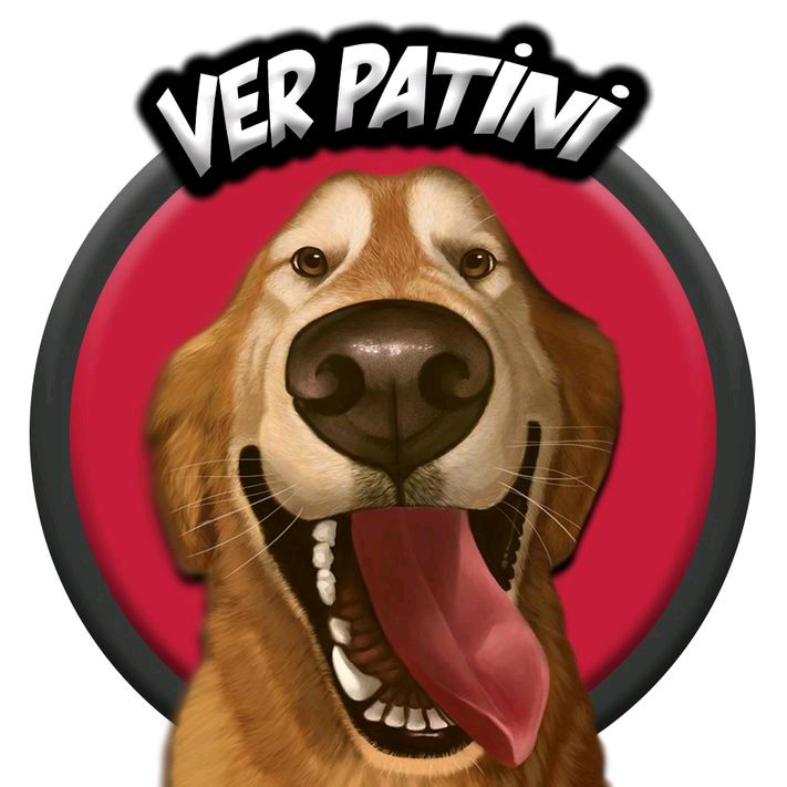 Ver Patini Köpek Eğitimi