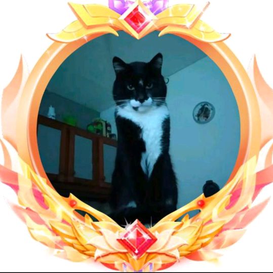 Félix fan de vidéos de star 🕺