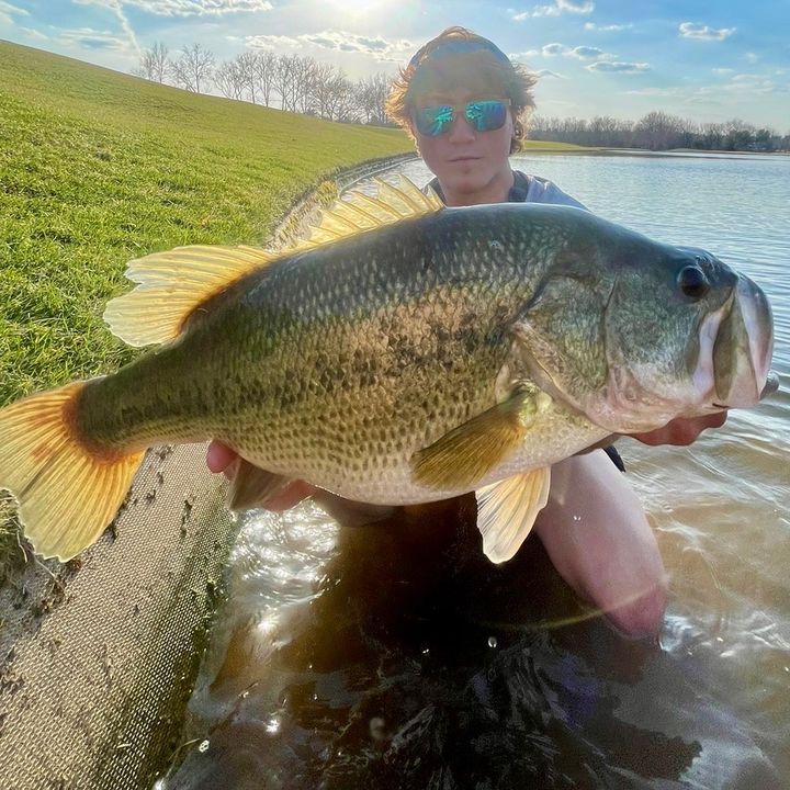 Vince Fishing