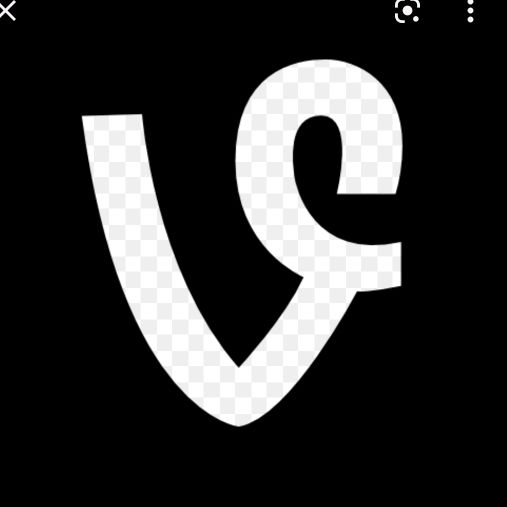 vine_tok72