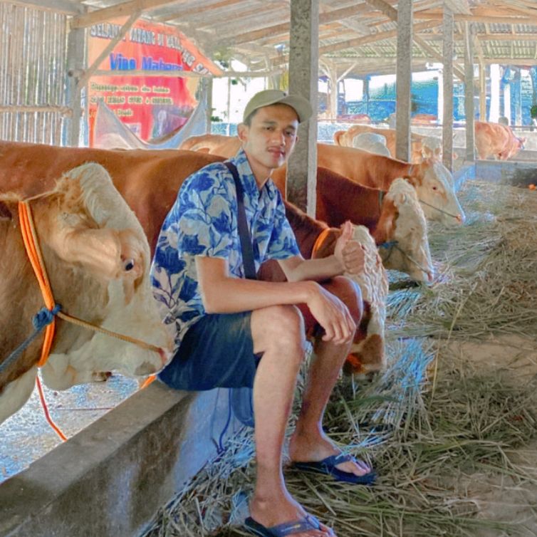 Vino Sapi