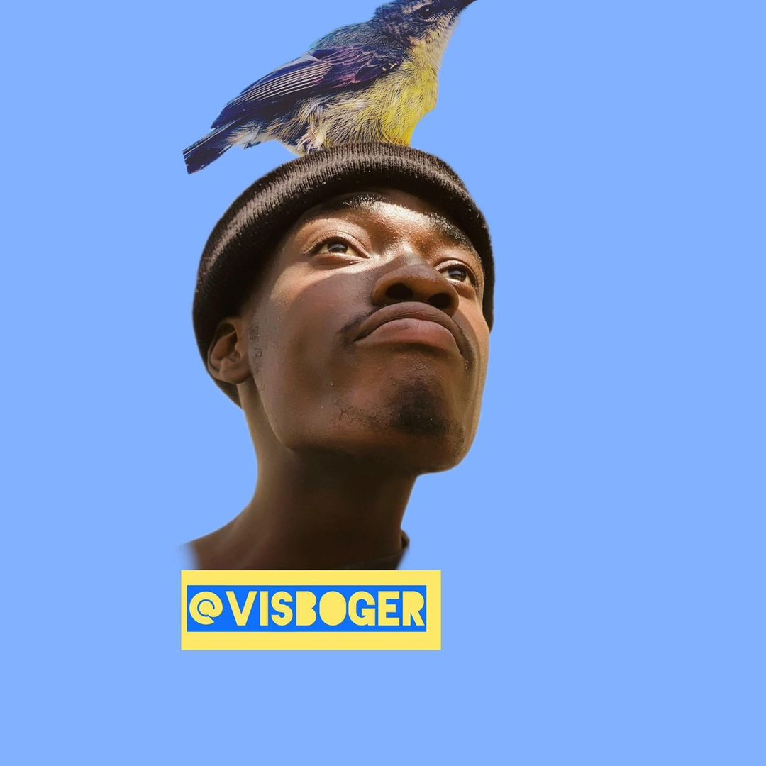visboger