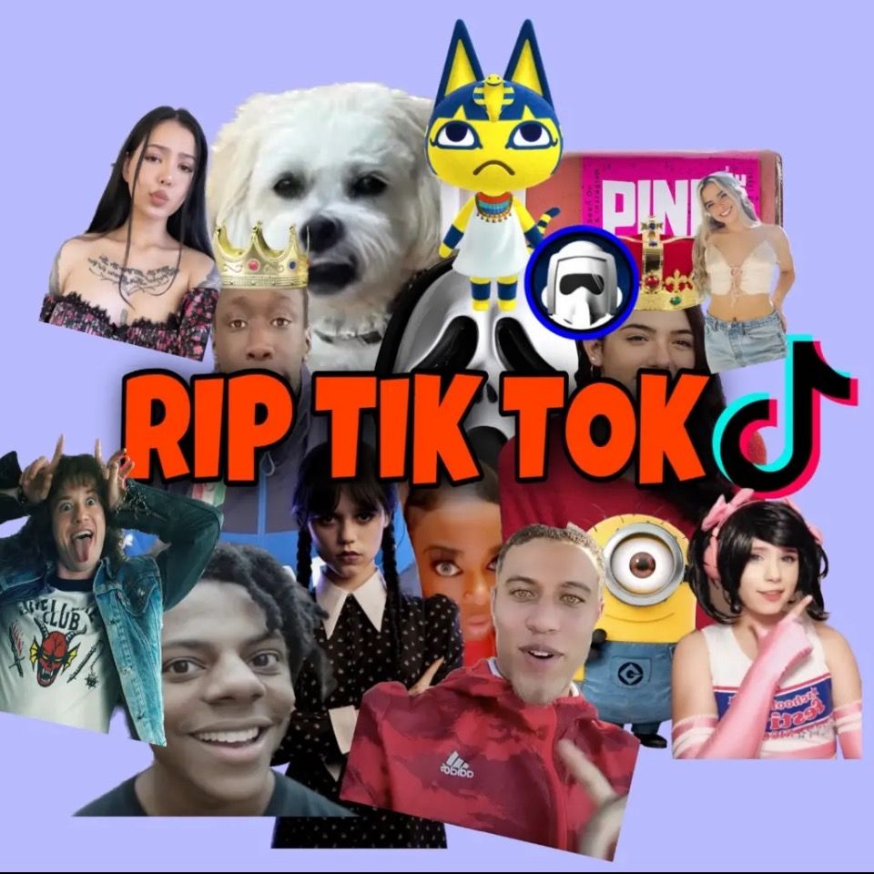 Waffles are the best