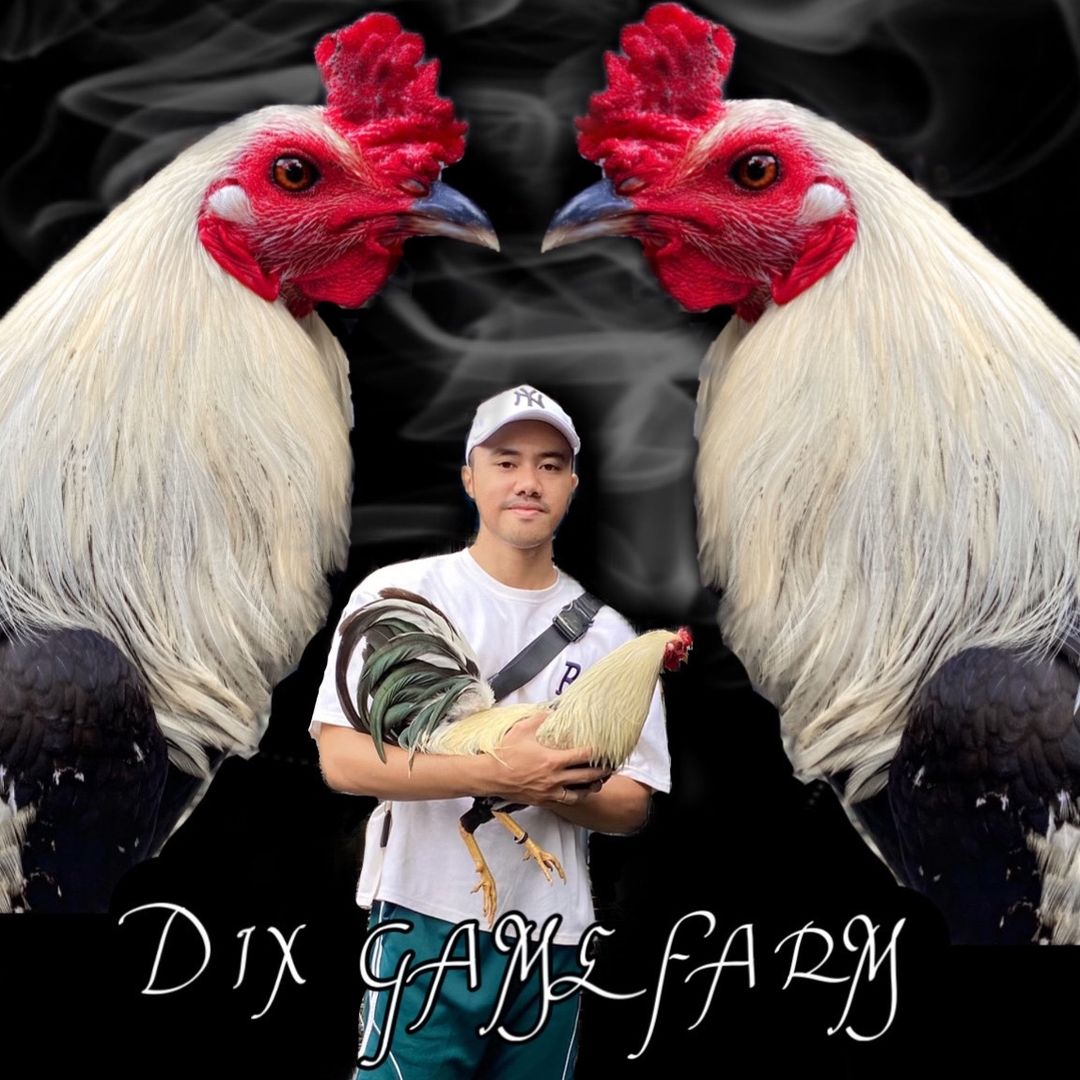 DixGameFarm