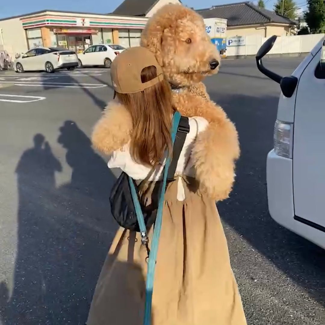 ラウぷぷシャビーズ🧸🐻🐻‍❄️