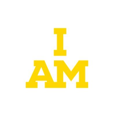 Invictus Games Foundation 💛🖤