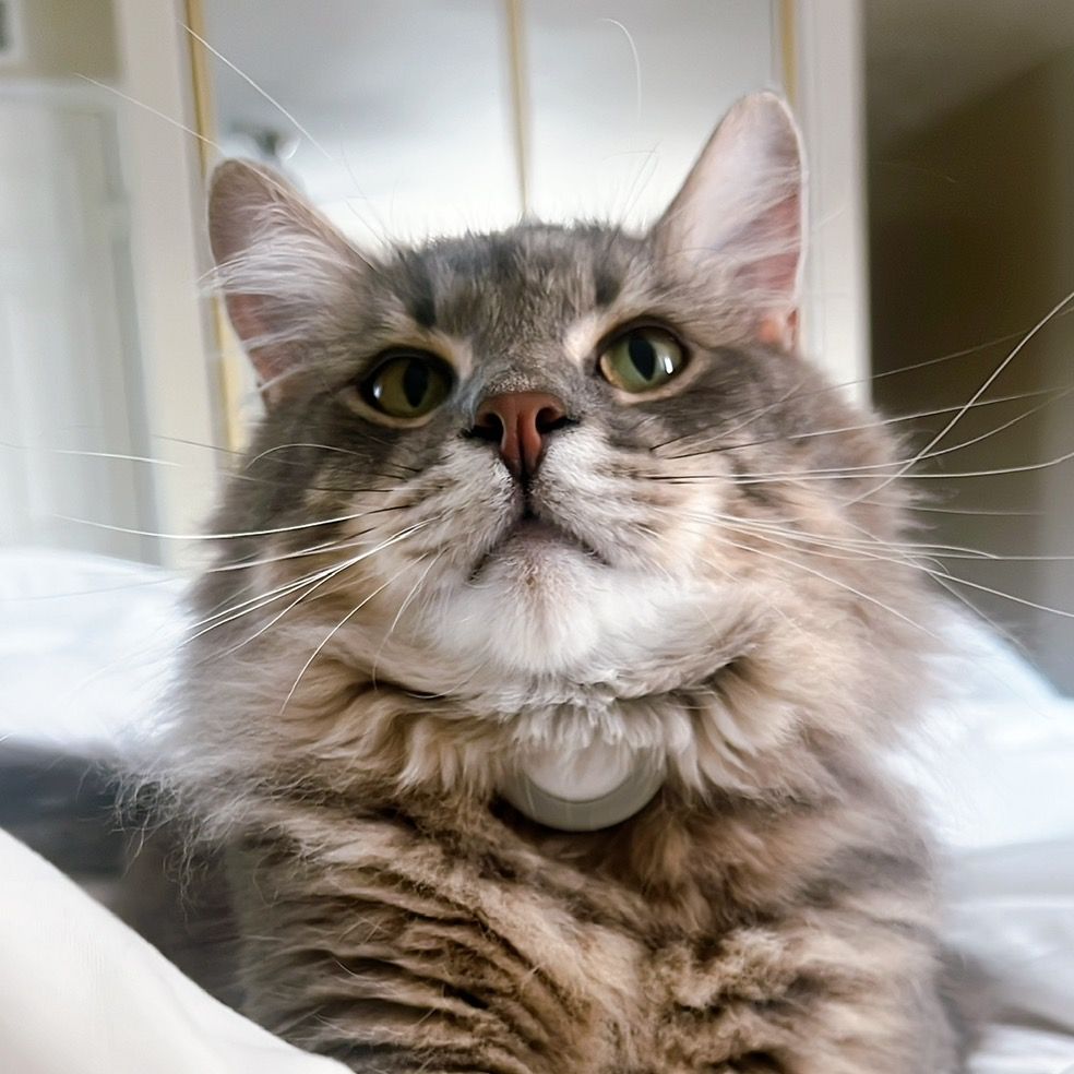 🐾 wes & meep 🐾