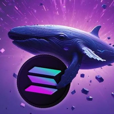 Whale SOL