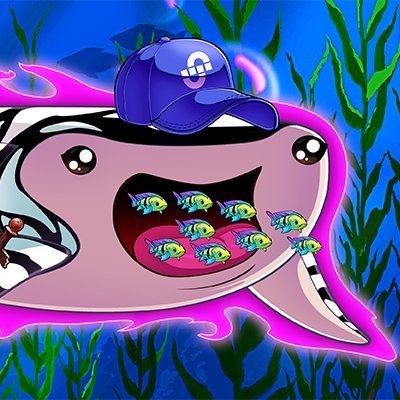 Wandering Whale Sharks 0_______0