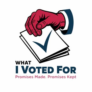 What I Voted For