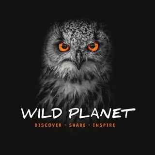 WILD PLANET