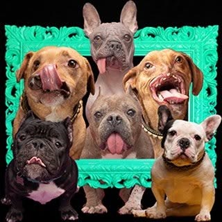 Liesl Karin Wilhardt