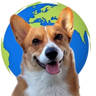 Corgi • Luxury dog travel • USA & UK