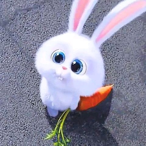 Agatinha.xx_ ♡<3