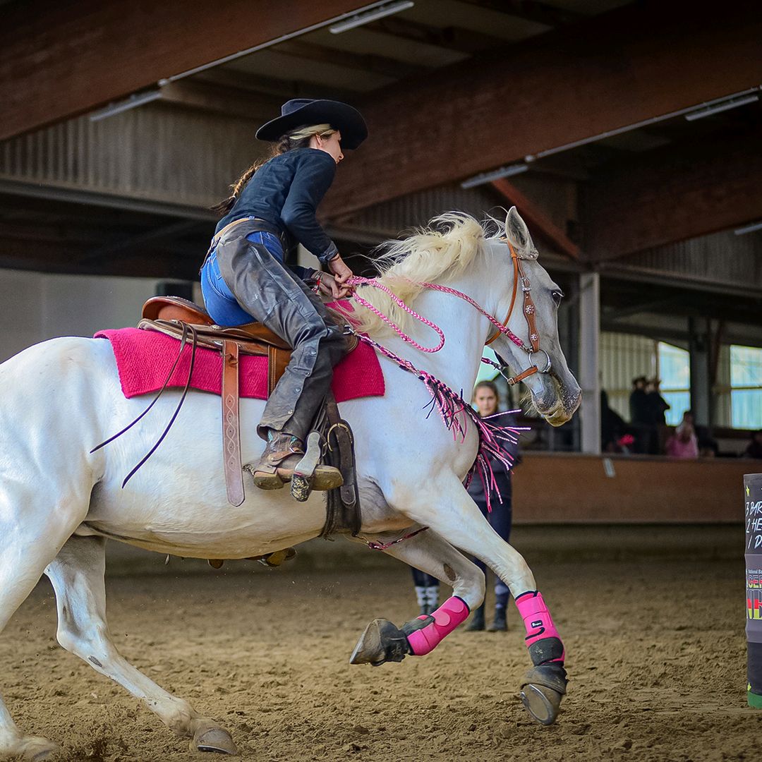 Lisas kleine Ranch 🐴