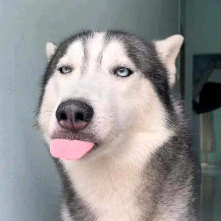 BUENAS :)