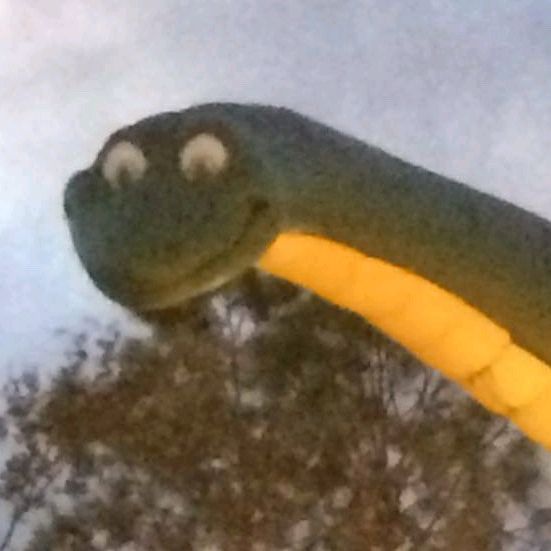 yam5yam